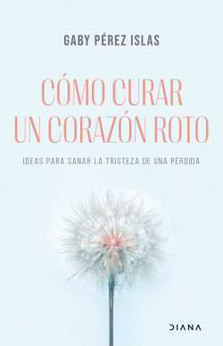 Cómo curar un corazón roto de Gaby Pérez Islas