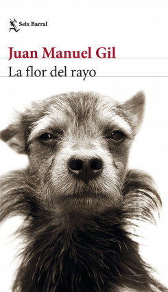 La flor del rayo de Juan Manuel Gil