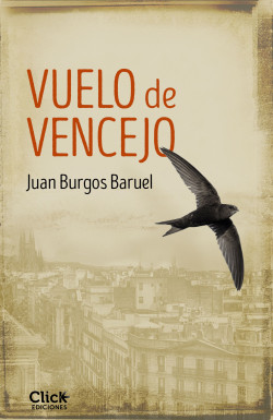 Vuelo de vencejo de Juan Burgos Baruel