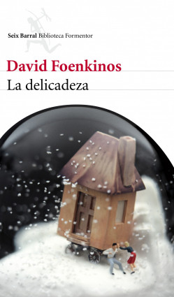 La delicadeza de David Foenkinos