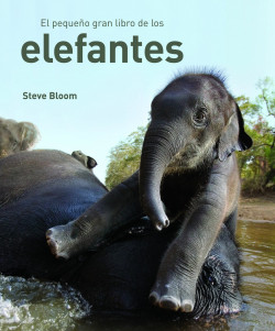 el pequeno gran libro de los elefantes de